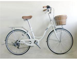 Import SS08-24LADY from chinese wholesale supplier and manufacturer
