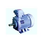 Import Series YB2 63-355 Flameproof Three Phase from chinese wholesale supplier and manufacturer