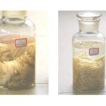 Import Chemical Equipment & Machinery from chinese wholesale supplier and manufacturer
