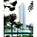 Import Nine Dragons Plaza from chinese wholesale supplier and manufacturer
