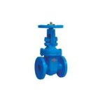 Import BS5150 RISING STEM GATE VALVE from chinese wholesale supplier and manufacturer