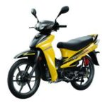 Import CUB Magic from chinese wholesale supplier and manufacturer