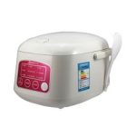 Import Elecpro micro-computer electric rice coo from chinese wholesale supplier and manufacturer