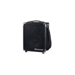 Import audio MS-600T from chinese wholesale supplier and manufacturer
