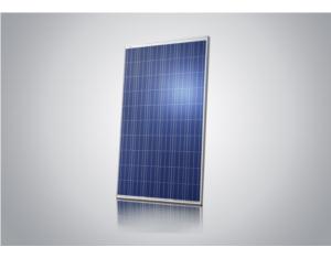 Import JKM250P-60-A(230W~250W) from chinese wholesale supplier and manufacturer