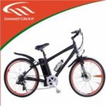 Import LITHIUM BATTERY BIKES-LMTDF-01L from chinese wholesale supplier and manufacturer