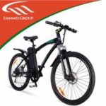 Import LITHIUM BATTERY BIKES- LMTDF-02L from chinese wholesale supplier and manufacturer