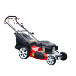 Import XSZ4IN153 （Lifan lawn mower） from chinese wholesale supplier and manufacturer