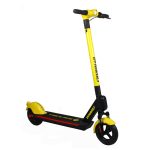 Import HS02Sharing electric scooter from chinese wholesale supplier and manufacturer