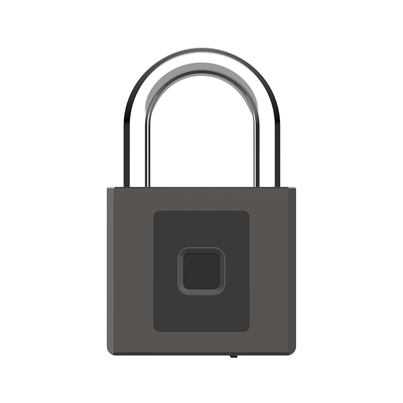 Import Fingerprint Padlock P9/P9BF from chinese wholesale supplier and manufacturer