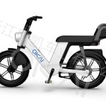 Import EB200 electric bike from chinese wholesale supplier and manufacturer