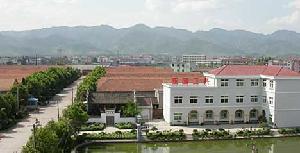 ZHEJIANG DONGYUAN IMPORT & EXPORT LIMITED CORPORATION
