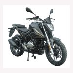 Import ZONGSHEN BATLLO5 from chinese wholesale supplier and manufacturer