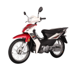 Import JOJO 110 (LIFAN Cub Motorcycle) from chinese wholesale supplier and manufacturer