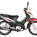 Import JOJO 110 (LF110-7D) LIFAN Cub Motorcycle from chinese wholesale supplier and manufacturer