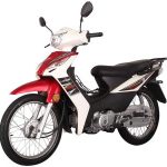 Import JOJO 110 (LF110-7D) LIFAN Cub Motorcycle from chinese wholesale supplier and manufacturer