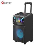 Import Portable Bluetooth Speaker, Rechargeable PA System with Wireless Microphone DJ Party Speak from chinese wholesale supplier and manufacturer