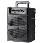 Import 8” Portable Bluetooth speaker system: LY-BX0801 from chinese wholesale supplier and manufacturer