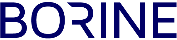 NINGBO BORINE ELECTRIC APPLIANCE CO. LTD.