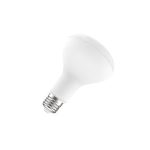 Import Smart LED Bulb BR30 from chinese wholesale supplier and manufacturer