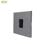 Import 20AX Double Pole Switch with Neon – Stainless Steel from chinese wholesale supplier and manufacturer