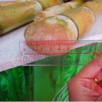 Import sugar cane juicer from chinese wholesale supplier and manufacturer