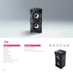 Import P9-Party Speaker from chinese wholesale supplier and manufacturer
