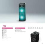 Import P10-Party Speaker from chinese wholesale supplier and manufacturer