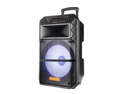 Import Trolley Speaker TBI-15C from chinese wholesale supplier and manufacturer