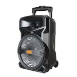 Import Trolley Speaker TCJ-15B from chinese wholesale supplier and manufacturer
