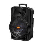 Import Trolley Speaker TCL-12AP from chinese wholesale supplier and manufacturer