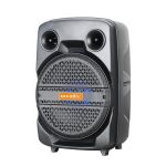 Import Trolley Speaker TCK-08AP from chinese wholesale supplier and manufacturer