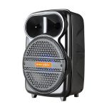 Import Trolley Speaker TCM-08AP from chinese wholesale supplier and manufacturer