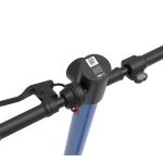 Import 10inch sharing use scooter 101P from chinese wholesale supplier and manufacturer