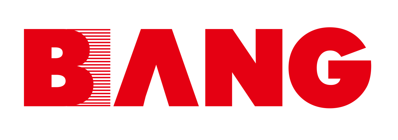 NINGBO BANGSHOU ELECTRIC CO.LTD