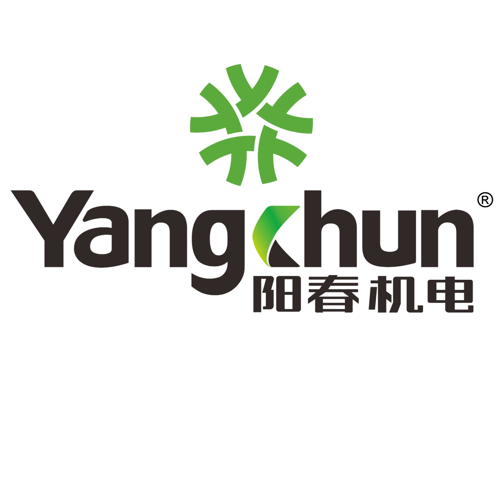 Taizhou Yangchun Electric Motor Co. LTD.