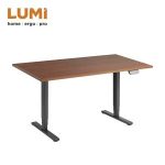 Import COMPACT DUAL MOTOR ELECTRIC SIT-STAND DESK (REVERSED) from chinese wholesale supplier and manufacturer