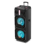 Import Trolley Speaker TD-210F from chinese wholesale supplier and manufacturer