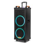 Import Trolley Speaker TEI-212F from chinese wholesale supplier and manufacturer