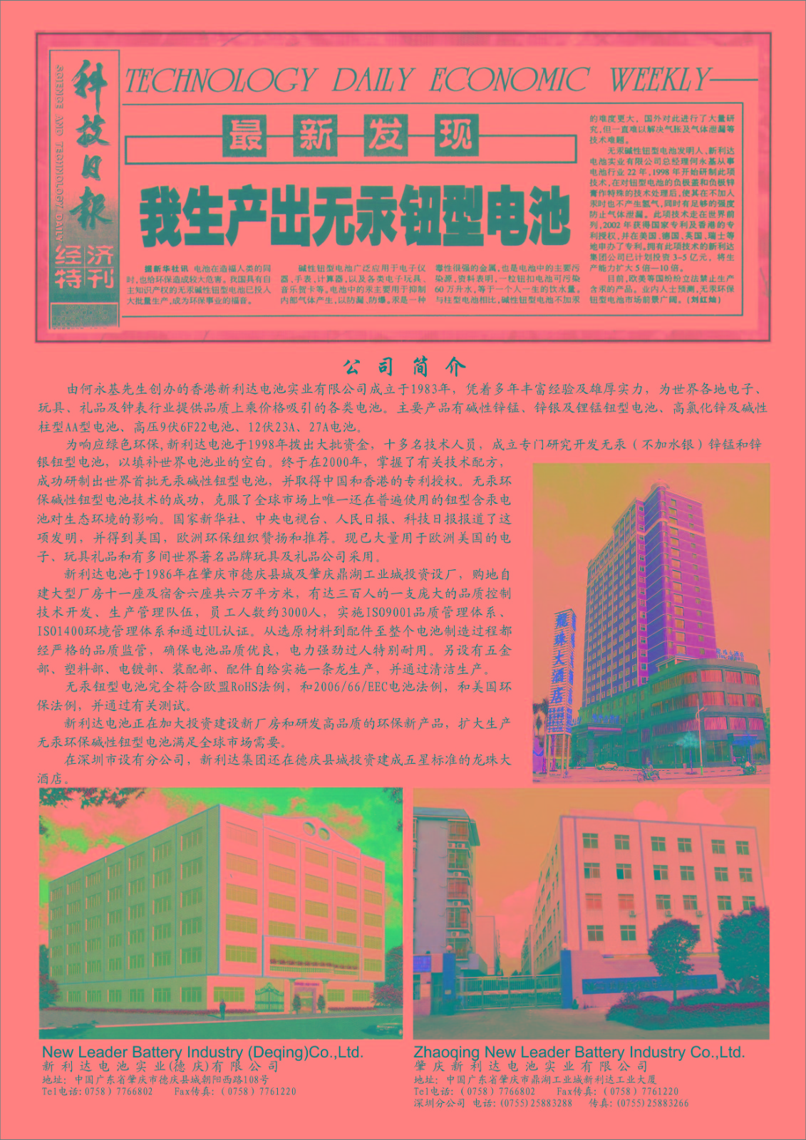 NEW LEADER BATTERY INDUSTRY (DEQING)COMPANY LIMITED.