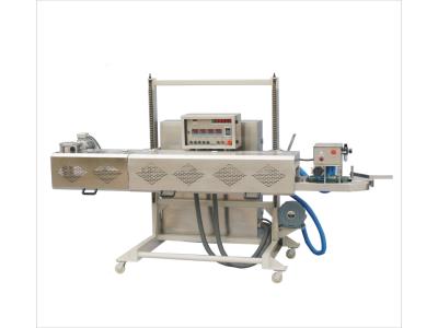 Import Automatic Heat Sealer For Heavy-Duty Plastic Bags from chinese wholesale supplier and manufacturer