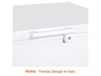 Import BE1-251chest freezer from chinese wholesale supplier and manufacturer