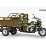 Import Tricycle HJ250ZH-10 from chinese wholesale supplier and manufacturer