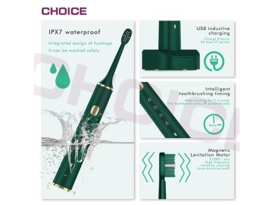 Import Electric toothbrush from chinese wholesale supplier and manufacturer