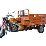 Import 200CC TRICYCLE—CM 200 WATER-COOLER 3-WHEEL from chinese wholesale supplier and manufacturer