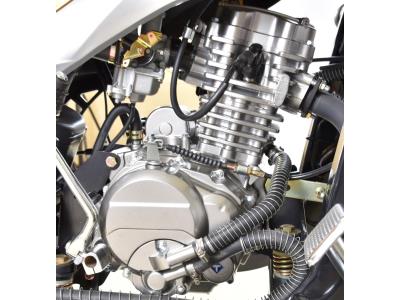 Import 200CC TRICYCLE—CM 200 WATER-COOLER 3-WHEEL from chinese wholesale supplier and manufacturer