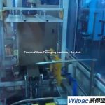 Import Automatic Carton Shaping And Sealing Machine from chinese wholesale supplier and manufacturer
