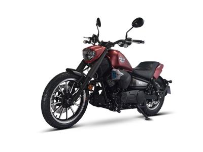 Import V16S (LF250-R) LIFAN Cruiser Chopper from chinese wholesale supplier and manufacturer
