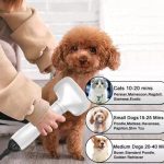Import Pet hair dryer HD-6008-1 from chinese wholesale supplier and manufacturer