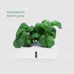Import J&C hydroponic box budding box self watering planter visible water stage watering hole with lid with budding lid 4 holes planting box sustainable use from chinese wholesale supplier and manufacturer